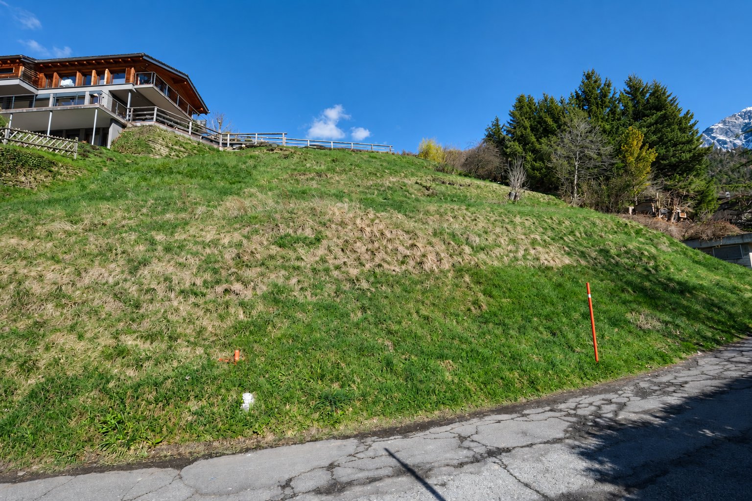 La parcelle vue depuis le chemin : une prairie en pente douce avec des piquets de bornage.